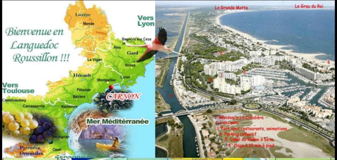 Suite-Junior -Villa Helene - Montpellier Sud - Aeroport- Piscine Privee-2Mn Des Plages Pérols Εξωτερικό φωτογραφία